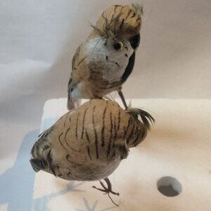 Decorative Bird Owl Figurine Brown White Feathers Craft Pick Lot 2
